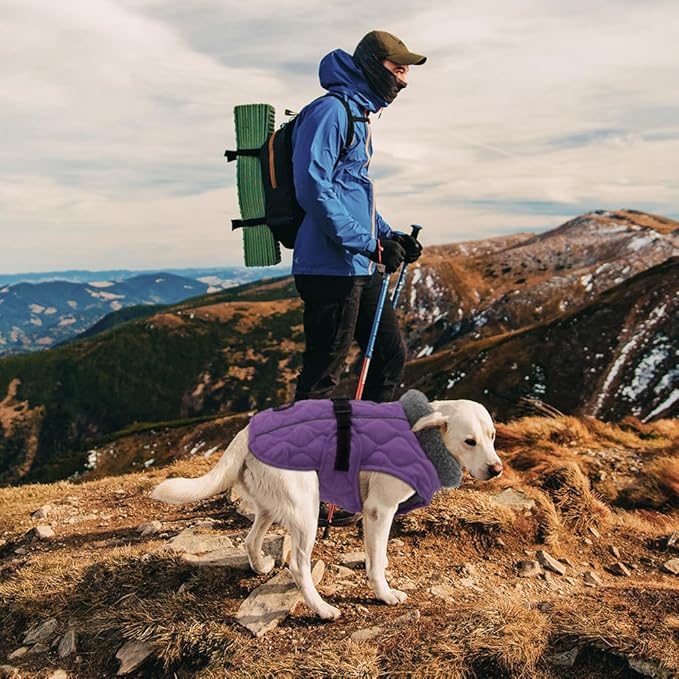 Dog Winter Jackets, Furry Collar Warm Coats for Dogs with Fleece Lining, Water Resistant Adjustable Dog Coat for Winter, Reflective Doggie Appreal with Leash Hole and Buckle, Purple L