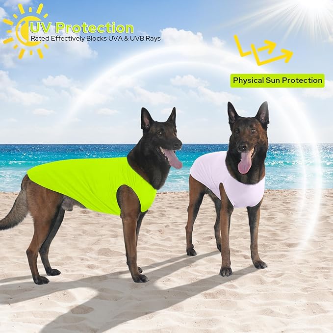 2 Pack Dog Shirts, Ice Pet Vest Dog Clothes for Instant Cooling, Lightweight Breathable Sleeveless T-Shirts for Medium Large Dogs, Light Purple+Fluorescent Green (L)