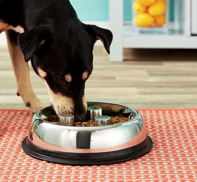 QT Dog - Brake-Fast Slow Feed Stainless Steel Bowl, Non-Slip - Ideal Puppies, Small & Medium Dogs, Suitable for Dry & Wet Food - 2 Cups (16 Oz)