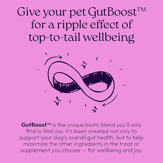 New! WellJoy Dog Supplement Calming+ GutBoost | Dog Health Supplement | Promotes Relaxation & Calmness | Dual-Benefit GutBoost Formulation | Vet Formulated | USA Made | Chicken Flavor | 90 Soft Chews