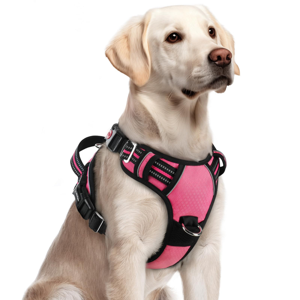 rabbitgoo Dog Harness for Large, No Pull 3 Buckles Easy On & Off - Image 1