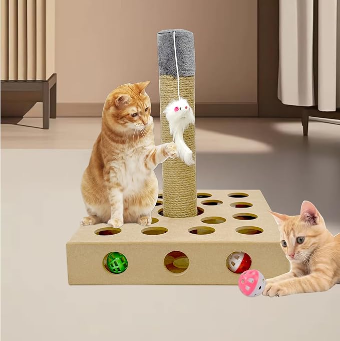Patch Hunting Box Cat Toy