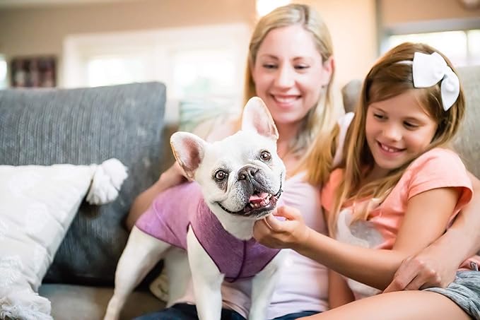 Goldpaw Dog Sun Shirt with UV Protection - Lightweight, Cooling Sun Protection Clothing for Dogs - Reduce Heat Absorption - Pet Clothes Made in The USA - Machine Washable - Violet - Size 12
