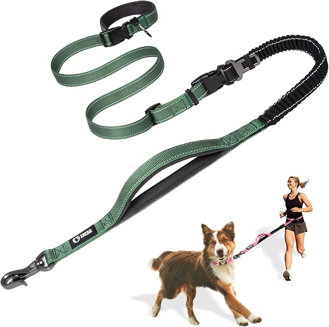 TSPRO Hands Free Dog Leash for Walking Running with Safety Car Seat Belt Shock Absorbing Bungee Leash with Padded Handle (Green)