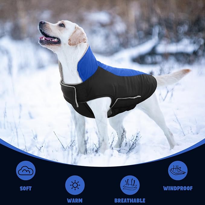 Warm Dog Coat,Waterproof Jacket in Winter Adjustable and Reversible Doggy Fleece Outfit,Thick Clothes with Foldable Collar for Puppy in Cold Days,M RoyalBlue