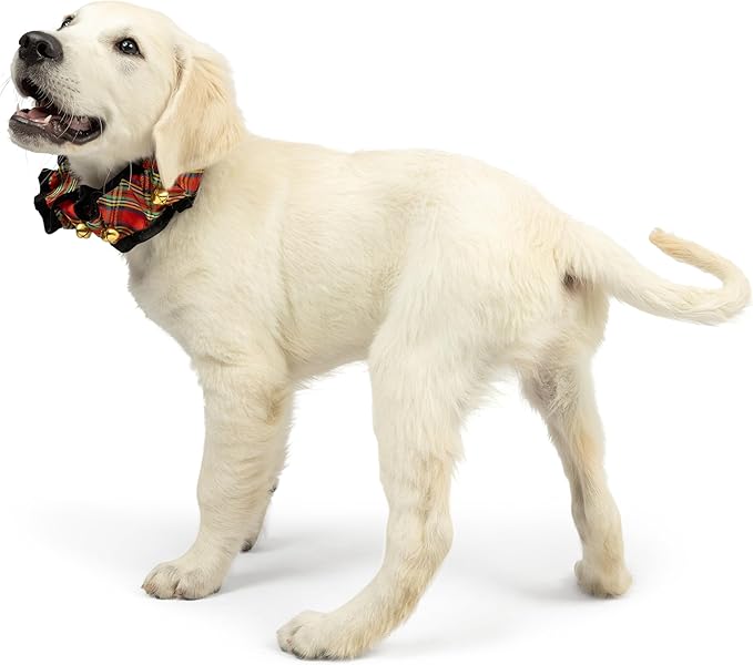 Huxley & Kent Ruff Pet Scrunchy | Shiny Christmas Plaid (Large) | Festive Christmas/Holiday Neckwear for Dogs/Cats | Fun Stretchable Costume Accessory | Soft Collar with Bells