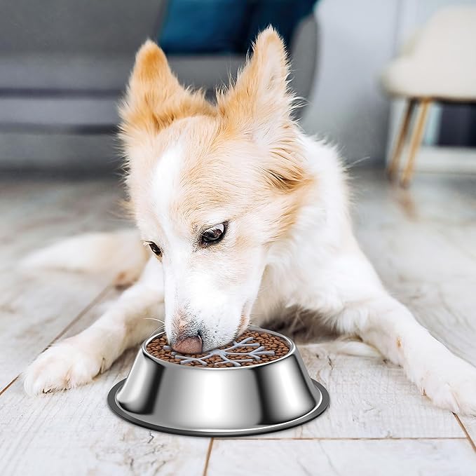 2-in-1 Metal Dog Bowl with Slow Feeder Insert, Food Grade 304 Slow Feeder Dog Bowls, Non-Slip Bottom, Pet Slower Food Feeding Bowls for Increases Feeding Time, Reduces Digestive Problems (M)