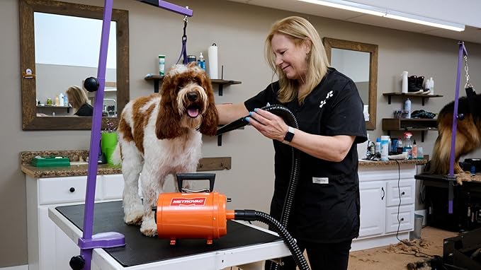 METROVAC AFTD-3V Air Force Commander Variable Speed Pet Grooming Dryer Purple | High Velocity Dog Hair Blower 4.0 HP USA