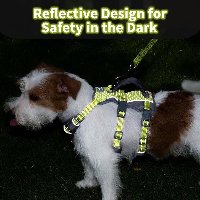 Huntboo Reflective Dog Harness with Handle, Escape Proof, No Slip, Breathable, Lightweight, Adjustable Lift Harness for Small,Medium,and Large Dogs Walking, Training, and Running Gear(Bright Green,XS)