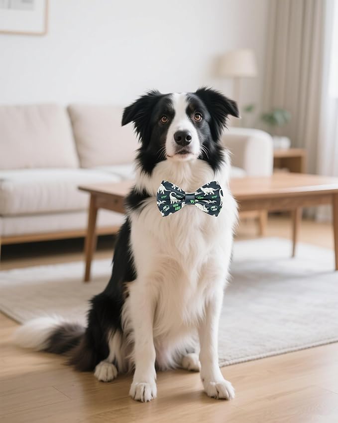PET SHOW 10 Pack Dinosaur Big Dog Bow Ties for Large Medium Dogs Sliding Collar Attachment Bowties Bowknots Holiday Party Pet Grooming Accessories(Large)