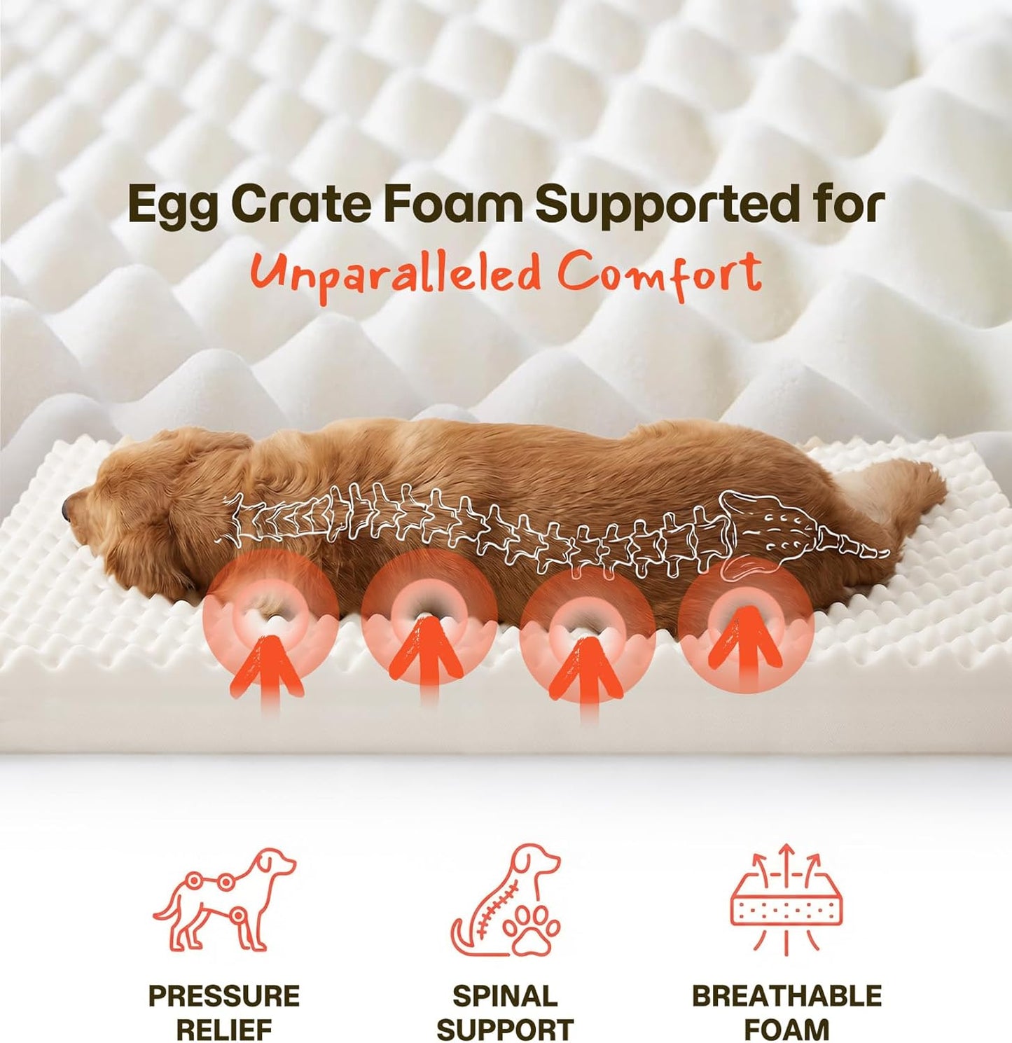Orthopedic Dog Bed with Dual-Season Covers — Waterproof, 35×22”, Up to 30lbs