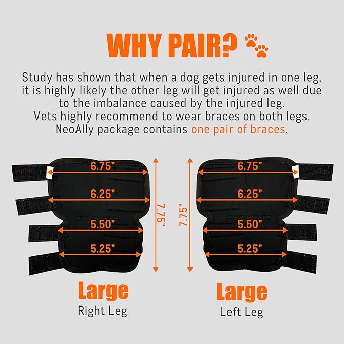 NeoAlly® - Rear Leg Hock Brace, Dog Leg Brace for Rear Leg, Hock & Ankle Support for Large Dogs, Dog Brace for Torn Acl and Ccl, Long Version, Large, 1 Pair