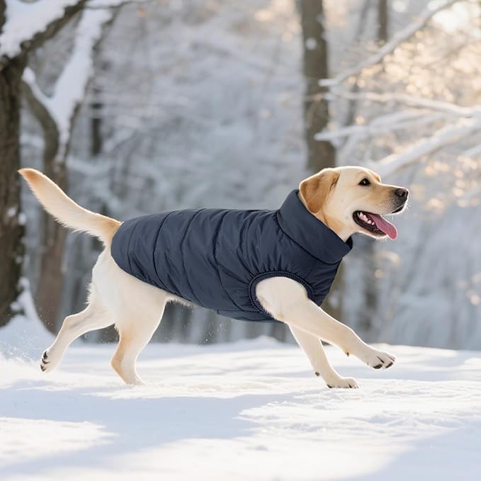 ASENKU Dog Winter Coat - Waterproof Windproof Dog Jacket, Warm Snowproof Doggie Puffer Vest for Cold Weather, Lightweight Snow Coats for Small Medium Large Dogs (XS, Blue)