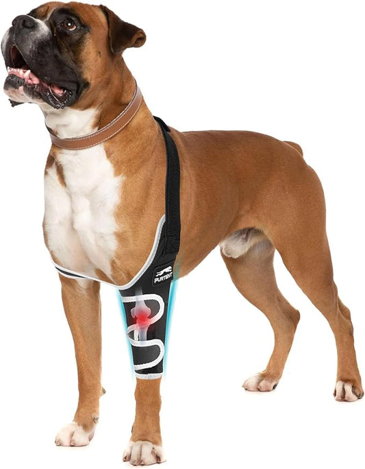 Dog Front Leg Brace for Elbow and Shoulder Support, Elbow Hygroma Dysplasia Dislocation, Reflective Dog Recovery Suit, Taper Collar Alternative, Pet Wounds Prevent Licking, XXL