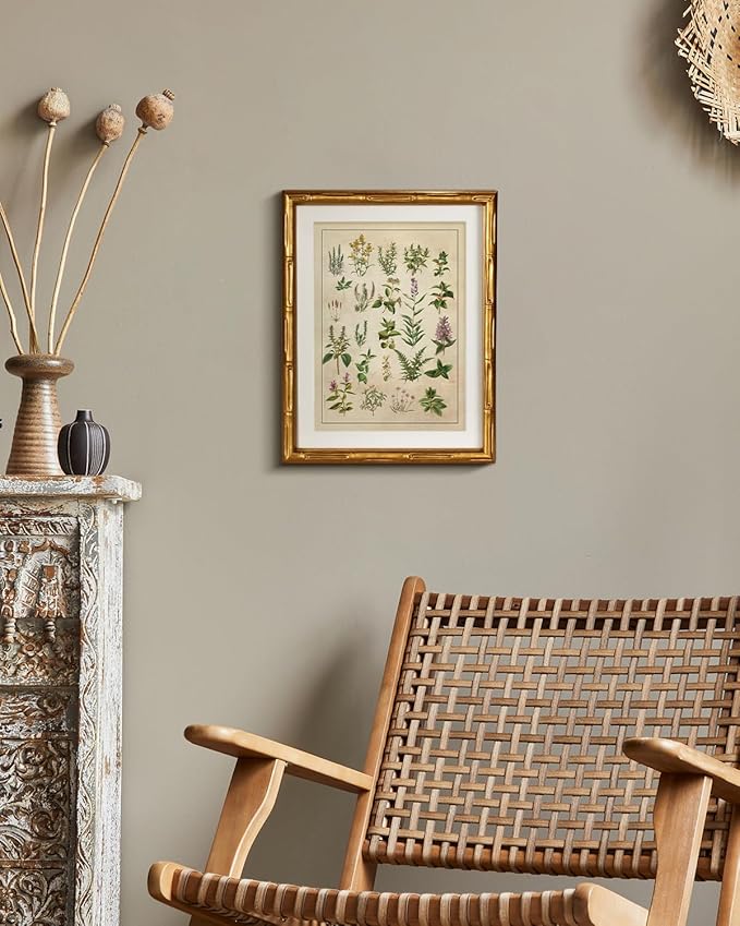 HUARCEY Vintage Botanical Chart Wall Art Gold Framed 11x14, Antique Style Herb Plant Illustration Canvas Print, Classic Apothecary Natural History Artwork Kitchen Study Farmhouse Office Home Decor