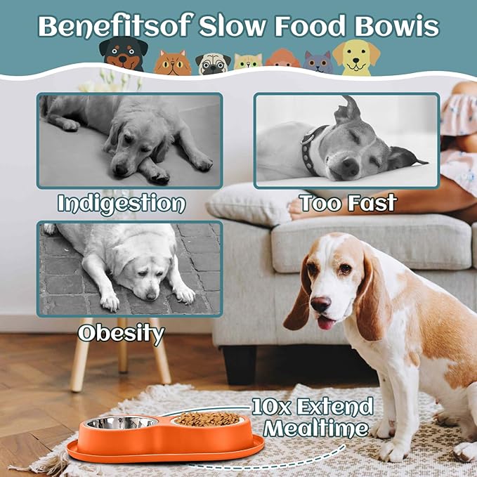 Slow Feeder Dog & Cat Bowls - 3-in-1 Slow Feeding & Water Bowl | Non-Slip Mat & Stainless Steel Bowls | Final Loss Leader Sale | Limited Stock While Supplies Last.(Orange).