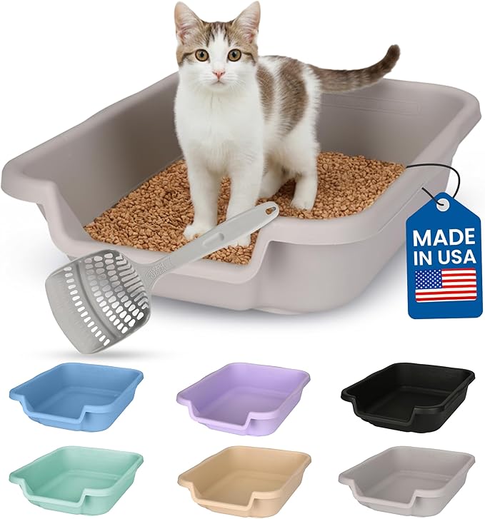 KittyGoHere Senior Cat Litter Box, Small Litter pan with Long-Handle Jumbo Scoop, Open Top Low Entrance Kitty Litters Box, Lightweight Low Entry Litter Box, Durable, Made in USA (Misty Gray)