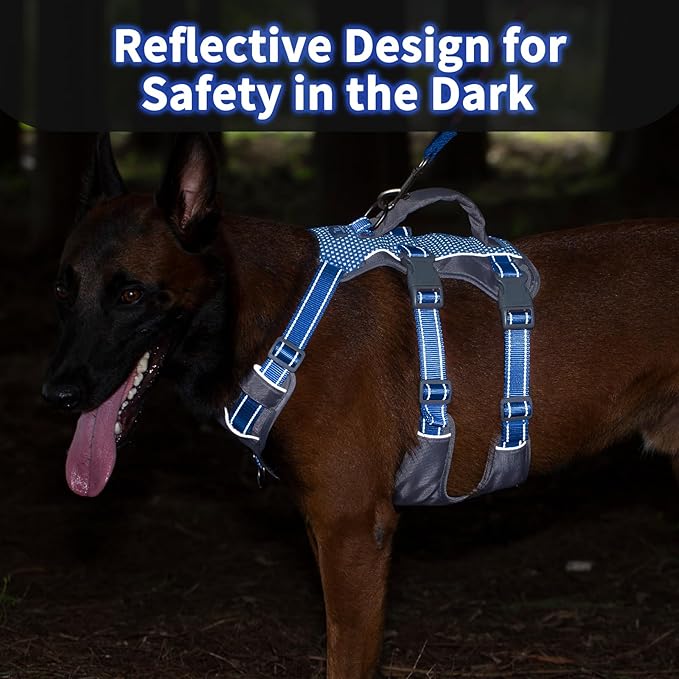 Huntboo Reflective Dog Harness with Handle, Escape Proof, No Slip, Breathable, Lightweight, Adjustable Lift Harness for Small, Medium, and Large Dogs Walking, Training, and Running Gear(Sea Blue,L)