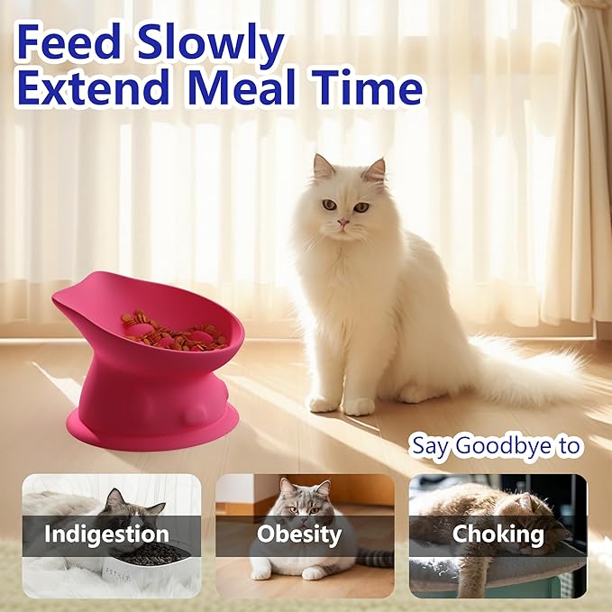Slow Feed Cat Bowl, Elevated Cat Food Dish with Tilted Design, Dual-Use for Dry and Wet Food, Anti-Vomit, Anti-Choking, Easy to Clean