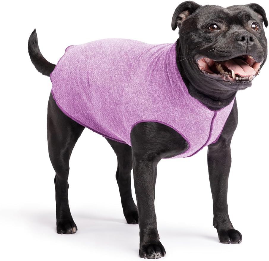 Goldpaw Dog Sun Shirt with UV Protection - Lightweight, Cooling Sun Protection Clothing for Dogs - Reduce Heat Absorption - Pet Clothes Made in The USA - Machine Washable - Violet - Size 16