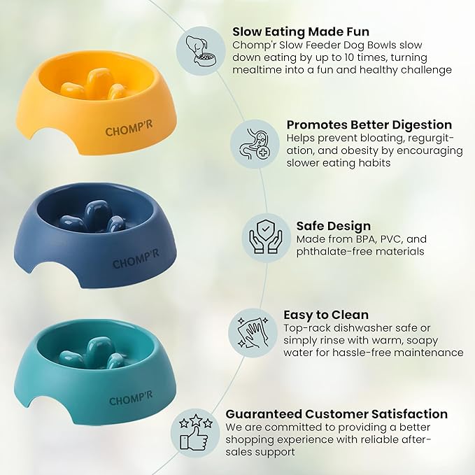 CHOMP'R Slow Feeder Dog Bowl for Small Breeds, Food Grade Interactive Puzzle Feeder, Non Slip Bowl to Slow Down Eating, Anti-Choking Mini Maze for Small Dogs Cats Puppies, Blue