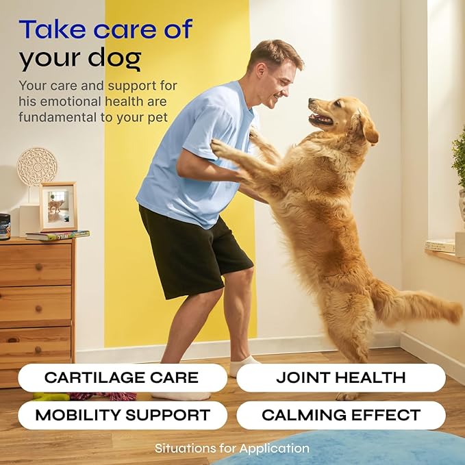 Glucosamine for Dogs - Hemp Joint Supplement for Dogs - Glucosamine Chondroitin Chews with MSM - Soft Chews for Canine Mobility Support - Hip & Joint Pain Relief - Hemp Seed Oil, Turmeric, Collagen