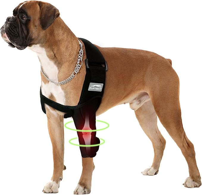 Dog Elbow Protector for Pet Elbow Dysplasia, Shoulder Dislocation - Offers Elbow Support, Dog Recovery Suit Taper Collar Alternative, Helps Wound Healing, Prevents Licking and Biting, L