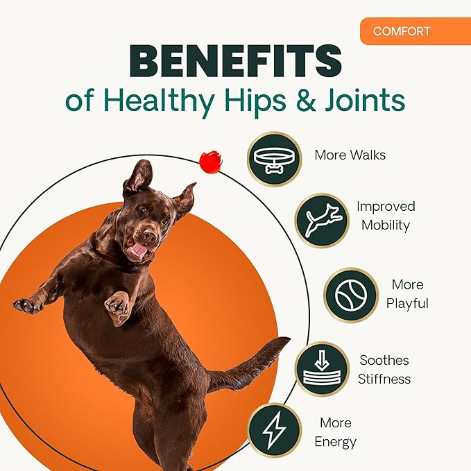 VetriScience Ultimate Strength Healthy Hip & Joint Chewable Tablets, GlycoFlex Glucosamine, Chondroitin and Green-Lipped Mussel Joint Supplement for Dogs, Soothe Joint Discomfort, Chicken, 120 Count