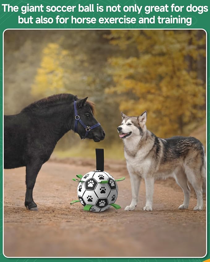 QDAN Soccer Ball with Straps - Durable Giant Dogs Balls, Outdoor, Herding, Floating, Birthday (10 Inch)