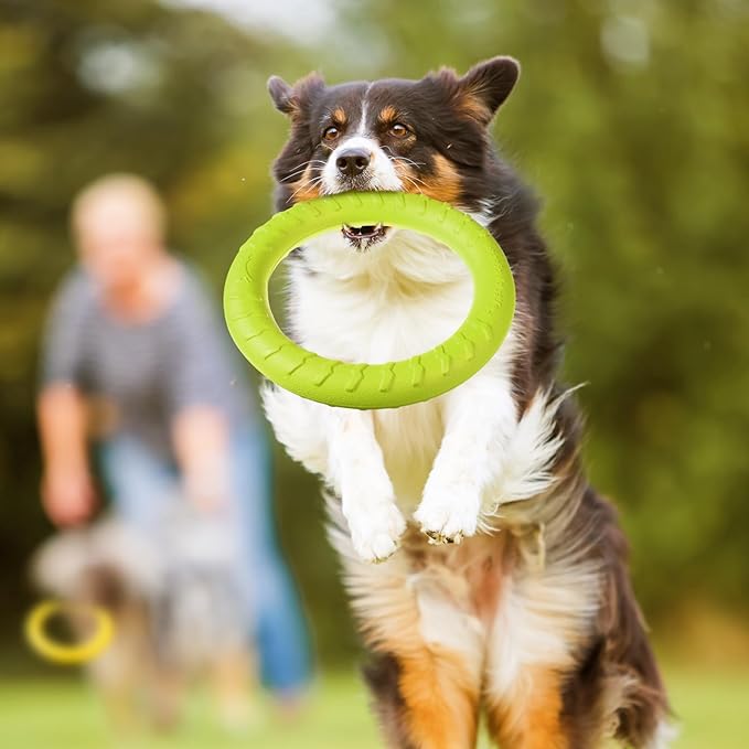 Jenaai 4 Pack Dog Ring Toy Dog Training Chew Toy for Outdoor Aggressive Durable Pet Chewers Floating Toys Puppy Ring for Large Medium Puppy Training(Colorful,11.81 Inch)