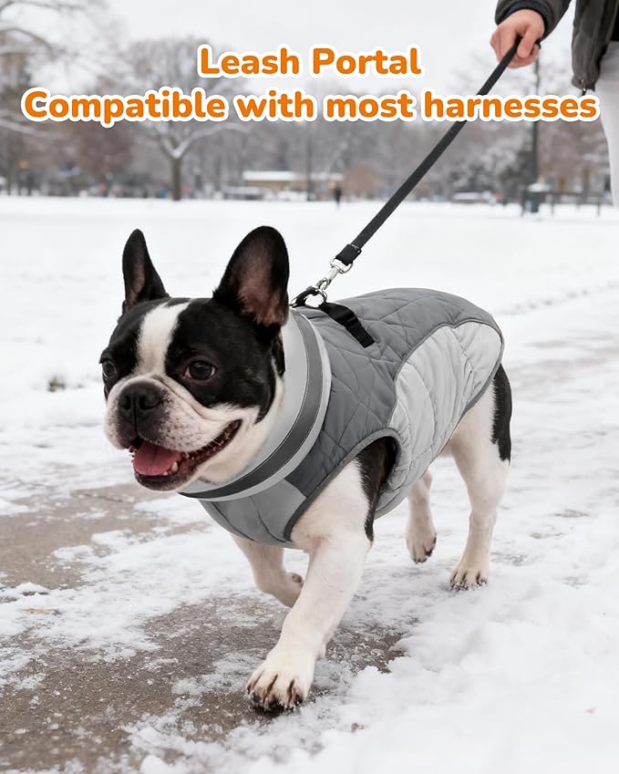 Dog Coat for Small Dogs, Adjustable Dog Jackets for Cold Weather, Reflective Winter Coat with Built-in Harness, Snowsuit Fits Dogs 5-8 lbs and Up, Size XS Black