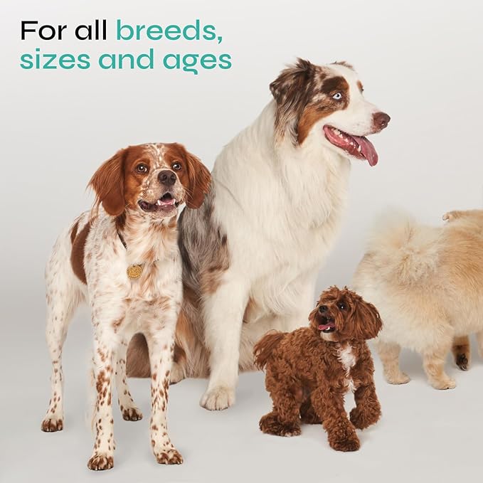 Calming Chews for Dogs Anxiety Relief - Hemp Calming Chews for Dogs with Valerian Root, Hemp Seed Oil, Turmeric, L-Theanine - Soft Treats for Storms, Fireworks, Separation, Vet Visits, Grooming