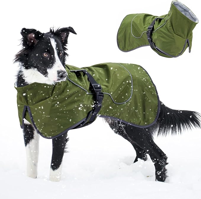 Dog Winter Raincoat, Waterproof Warm Jacket with Velvet Lining for Cold Weather, Windproof Insulated Rain Coat with Reflective Strips for Medium Dog (Green, M)