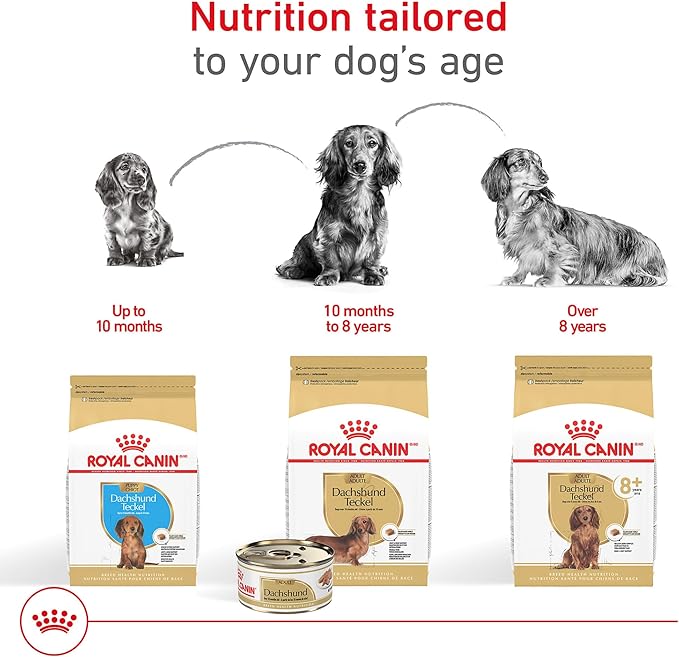 Royal Canin Breed Health Nutrition Dachshund 8+ Senior Dry Dog Food, 3 lb Bag
