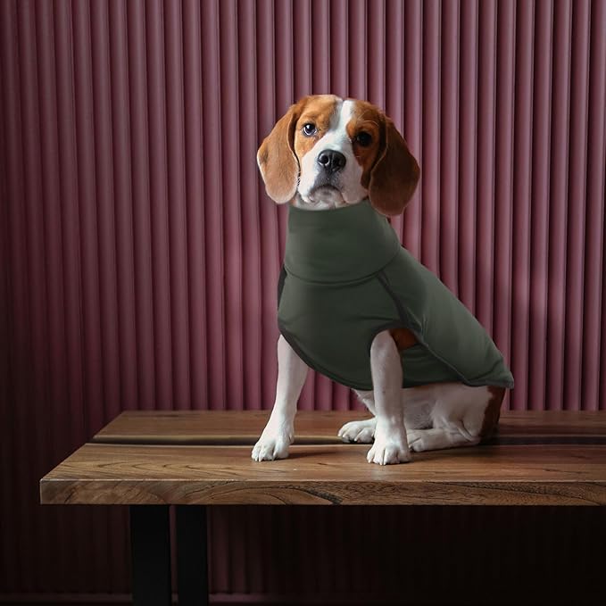 ROZKITCH Dog Winter Coat Soft Pullover Pajamas, Pet Windproof Warm Cold Weather Jacket Vest Cozy Jumpsuit Apparel Outfit Clothes for Walking Hiking Travel Sleep Green S