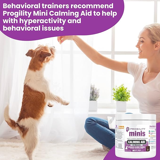 Nootie Progility Mini Calming Aid Chews for Dogs, Advanced Calming Support for Dogs with Melatonin, 60 Soft Chews