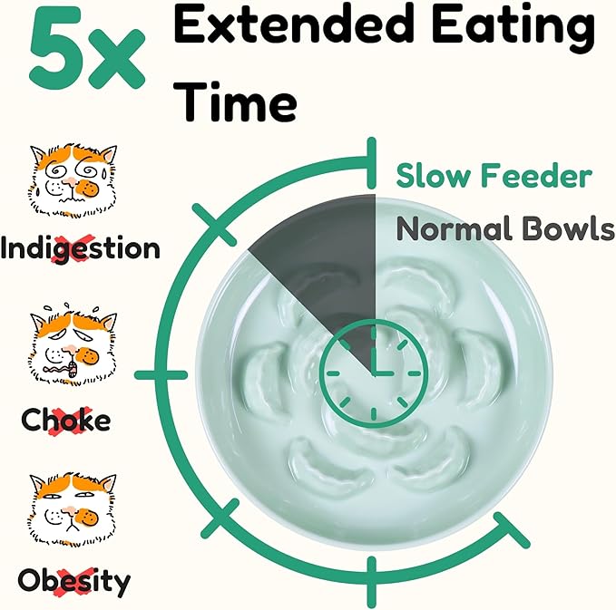 2 Pcs Cat Slow Feeder Bowl Set - Unbreakable Melamine Cat Food Plates for Slow Eating - Cute Kitten Plates for Wet & Dry Food- Whisker Friendly & Dishwasher Safe & Non Slip Design (White + Green)