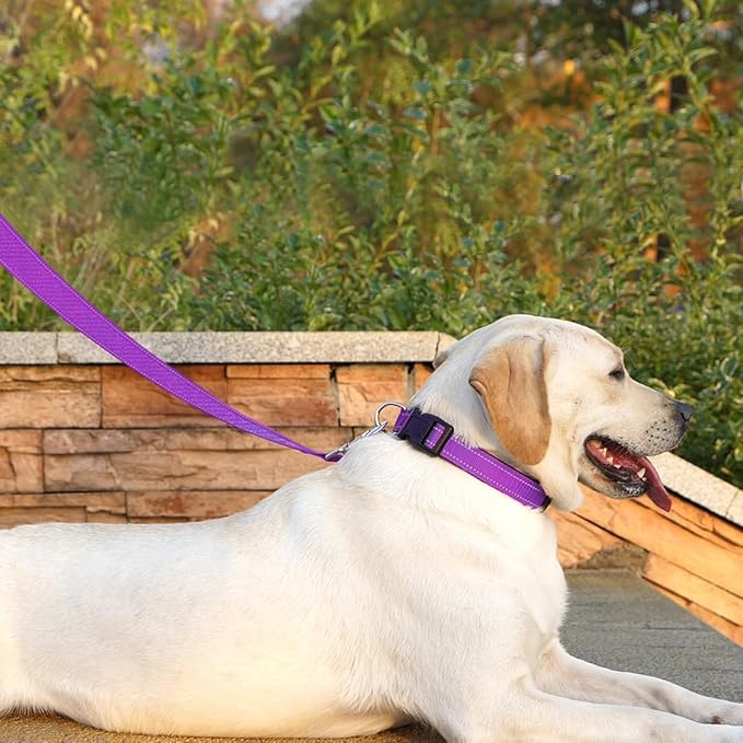 Reflective Dog Leash 6 FT Padded Handle Nylon Dogs Leashes for Small Dogs Dark Magenta