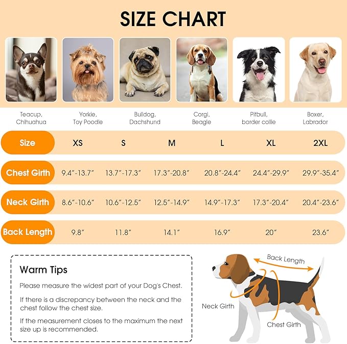 Queenmore Dog Winter Coat, Cold Weather Fleece Jacket for Dogs, Waterproof Reflective Reversible, for Small, Medium and Large Dogs (Green, 2XL)