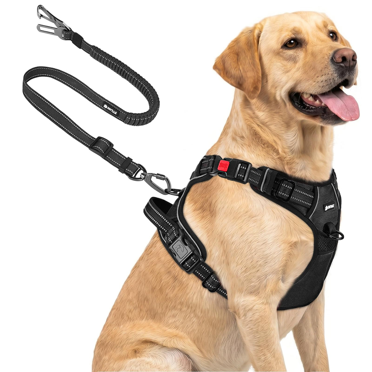 Joytale No Pull Dog Harness & Seat Belt, Easy On 3-Buckle, L, Black