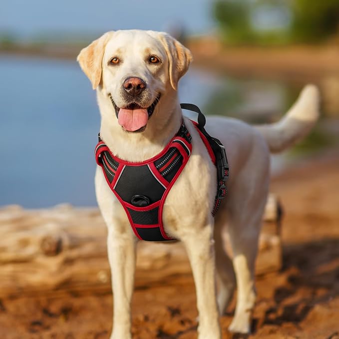 rabbitgoo Dog Harness No Pull with 2 Leash Clips, Adjustable Soft Padded, Reflective Oxford No Choke Pet Vest with Easy Control Handle for Large Dogs, Black & Red, L