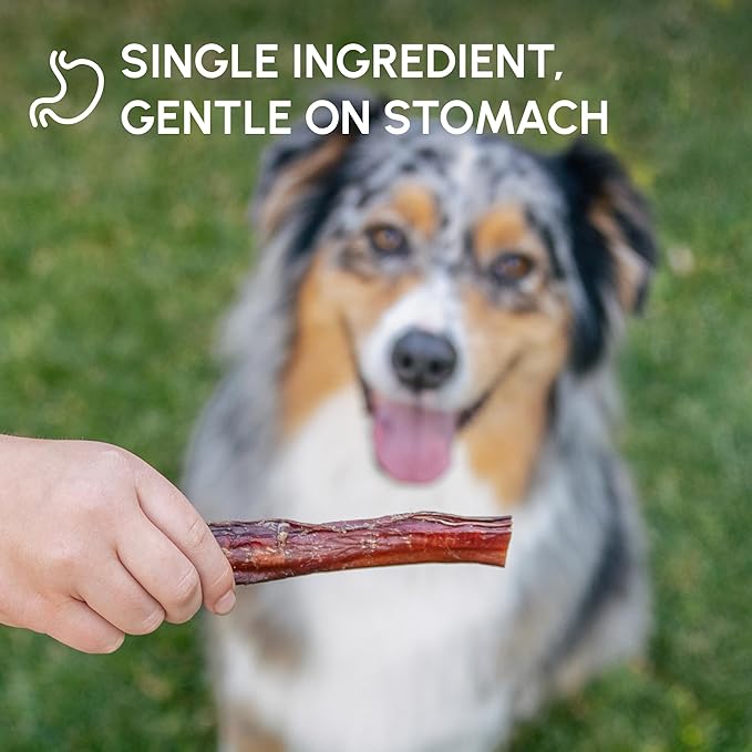 Downtown Pet Supply USA Sourced Bully Sticks for Dogs - Grass-fed Beef Chews, Low-Odor & Rawhide-Free, Long Lasting Dog Treats for Heavy Chewers - Healthy, Safe & Delicious Chews (12" 15 Pack)