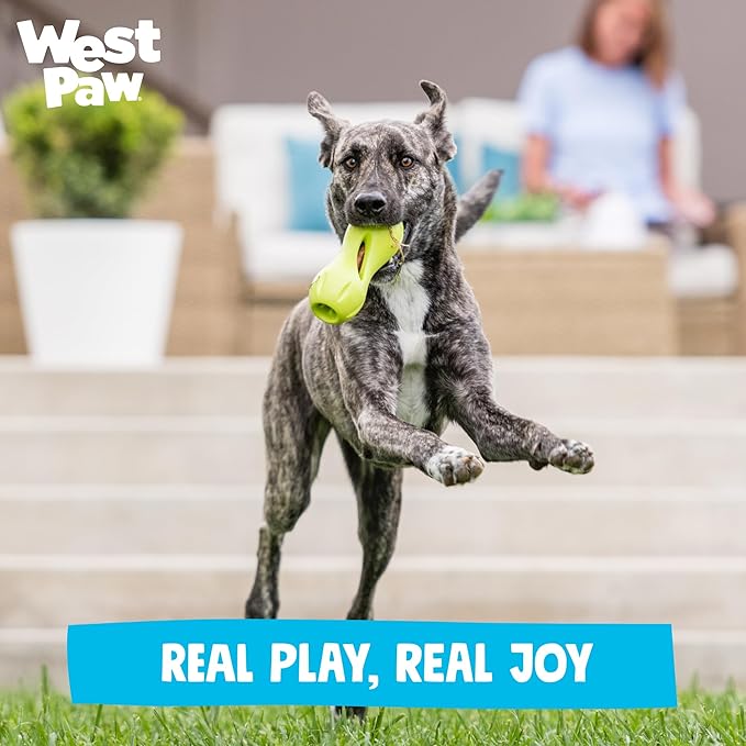 West Paw Qwizl Durable Zogoflex Dog Puzzle Toy for Mental Stimulation, and Enrichment - Treat Dispensing for Bully Sticks and Dental Sticks - Dishwasher Safe - Made in USA - Small - Clover