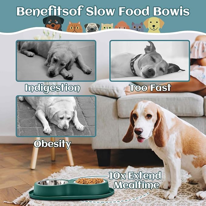 Slow Feeder Dog & Cat Bowls - 3-in-1 Slow Feeding & Water Bowl | Non-Slip Mat & Stainless Steel Bowls | Final Loss Leader Sale | Limited Stock While Supplies Last. (Green)