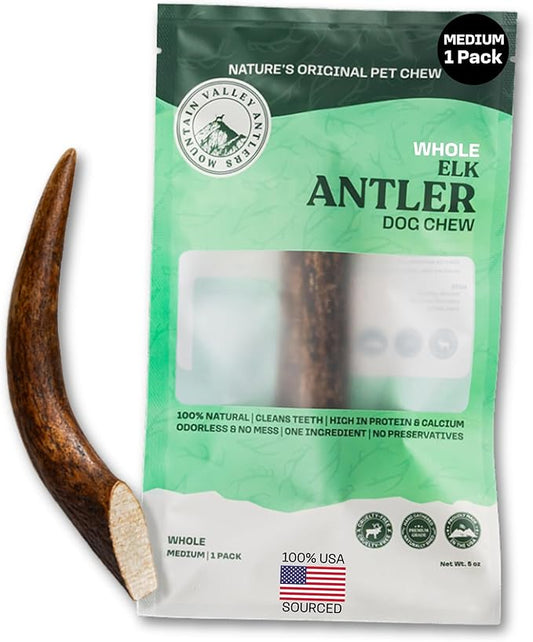 Mountain Valley Elk Antlers for Dogs - 100% Natural & Organic Chew for Aggressive Chewers, No Odor, No Mess, Long Lasting - Wild-Foraged Naturally Shed Antlers in USA - Grade A, Whole Medium (1 Pack)