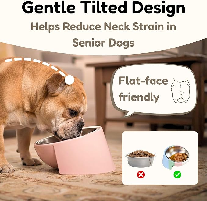 Tilted Dog Bowl for Flat-Faced & Senior Dogs, 15° Slanted Stainless Steel Dog Food Bowl, Elevated Pet Feeder for Small & Medium Dogs, Comfortable Eating Design (White, M (420 ML / 2 Cups))