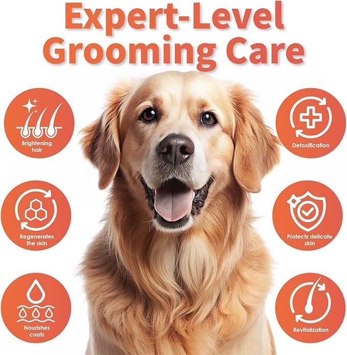 Arf Arf Silky Dog Shampoo for Dry, Itchy, Sensitive Skin - Soothing Oatmeal & Honey Formula for a Salon-Quality Smooth Coat - Gentle Puppy & Dog Wash for All Breeds - Fresh Scent, 16oz