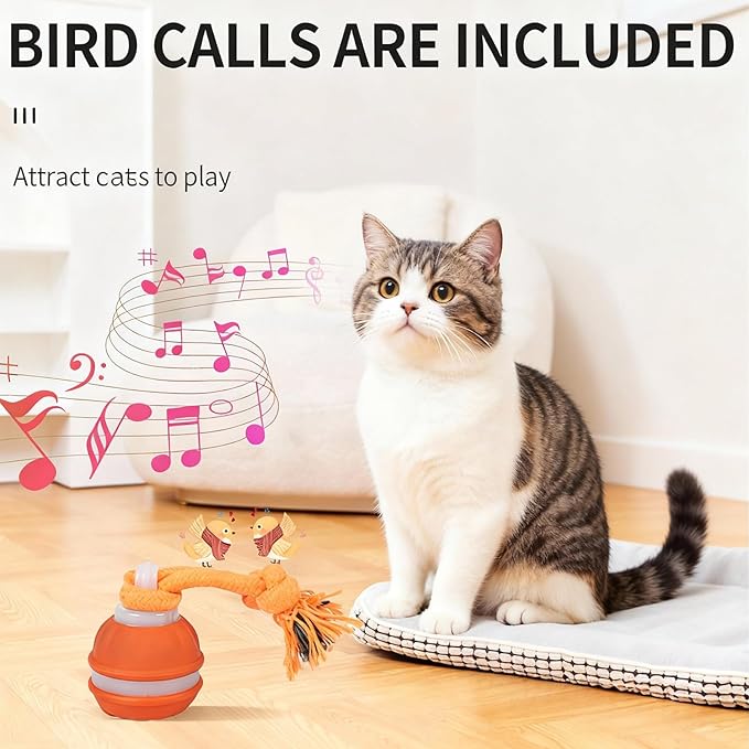 Interactive Dog Cat Toys Dog Ball,Automatic Rolling and Bouncing Moving Dog Toy,Squeaky Rolling Balls with Flashing Light,USB Rechargeable Chew Toys for Puppy Small Dogs, Pet Ball to Keep Them Busy
