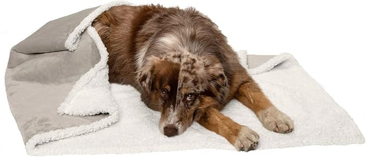 Furhaven Waterproof & Self-Warming Throw Blanket for Dogs & Indoor Cats, Washable & Reflects Body Heat - Soft-Edged Terry & Sherpa Dog Blanket - Dove, Large