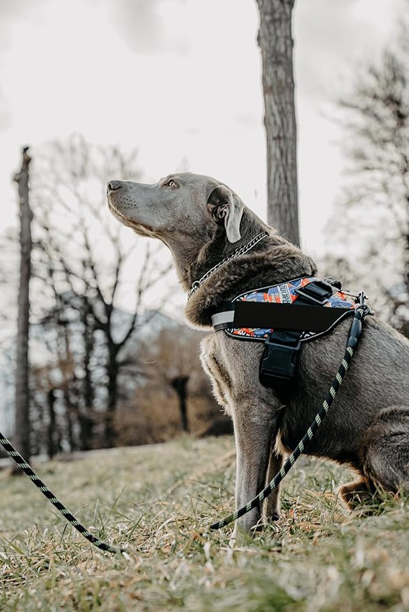 Non Pull Dog Harness with Patch Panels and Handle, Adjustable, Reflective, No Choke, Heavy Duty Easy On Service Dog Vest Harnesses for Medium Large Small Sized Dogs - Green, XL